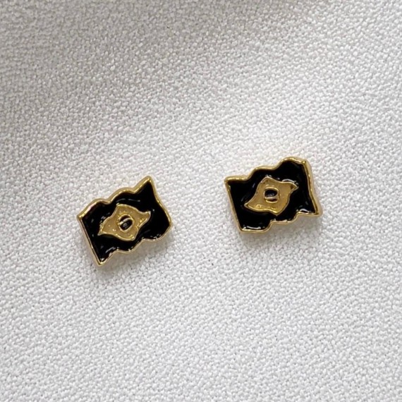 Brinco Brasil - Folheado a Ouro 18k